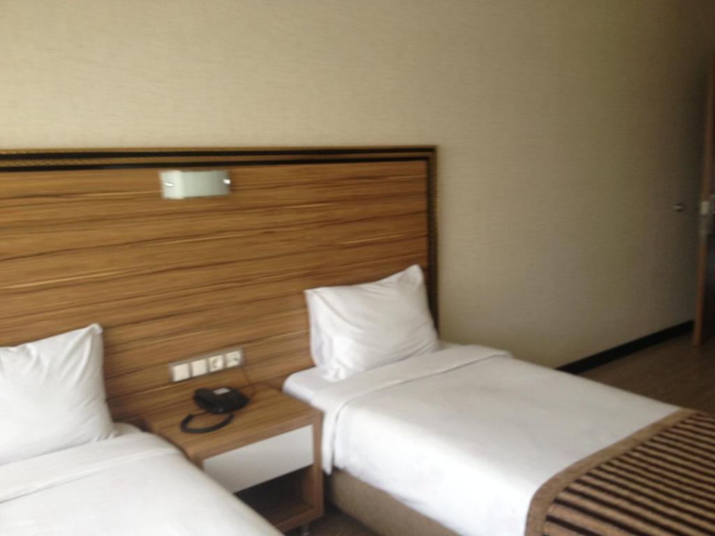 Buyuk Hotel Kayseri Rum bild